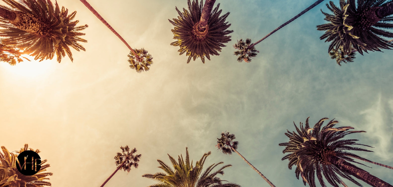 Winterizing Your Skincare Routine: Hydration Hacks for LA's Dry Season